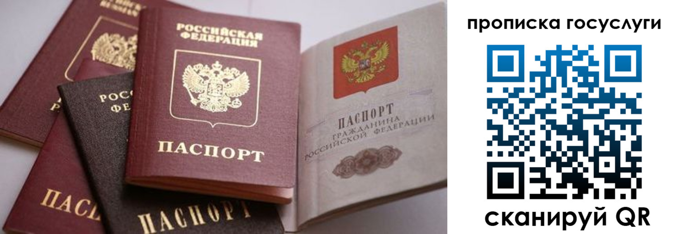 прописка 2025 в Перми